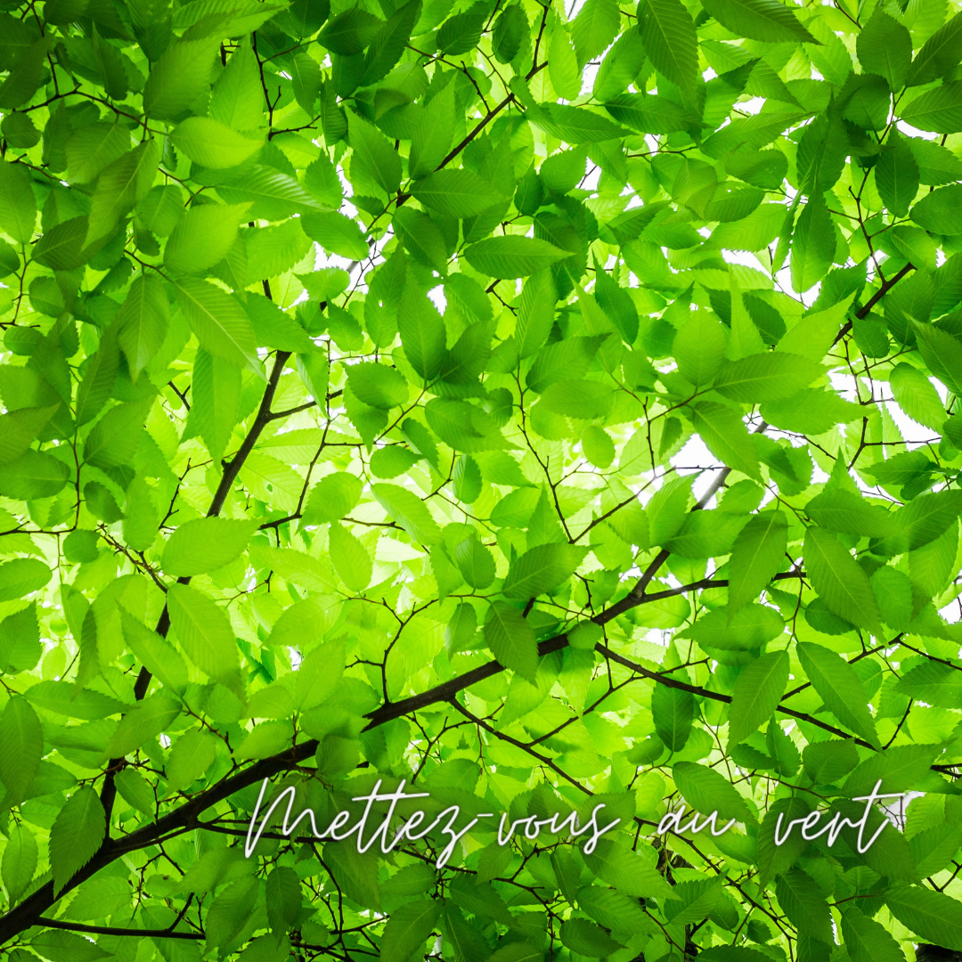 Reliez-vous à la nature