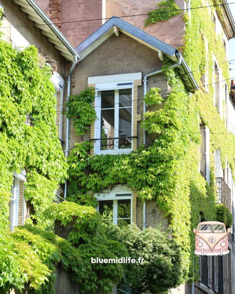 balade, grand air, Nancy, soleil, été à Nancy, nature, ville, détente, abeilles, vignes vierges, , Blue Midlife
Catherine BARLOY, Coach en , bilan de compétences, Coach professionnel, Nancy