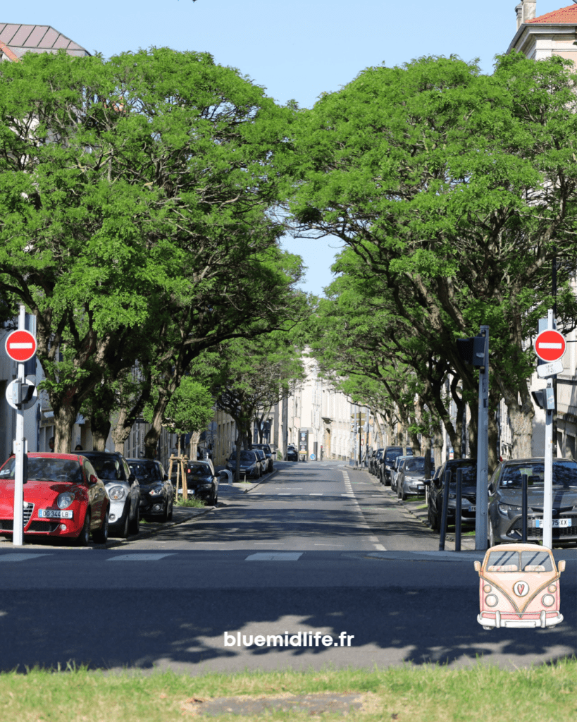 balade, grand air, soleil, Nancy en été, moment simple, ville, arbres, nature, tranquillité, symétrie, sens interdit, petits arbres, haie, partager, Blue Midlife
Catherine BARLOY
Coach en bilan de compétences
Coach professionnel
Nancy