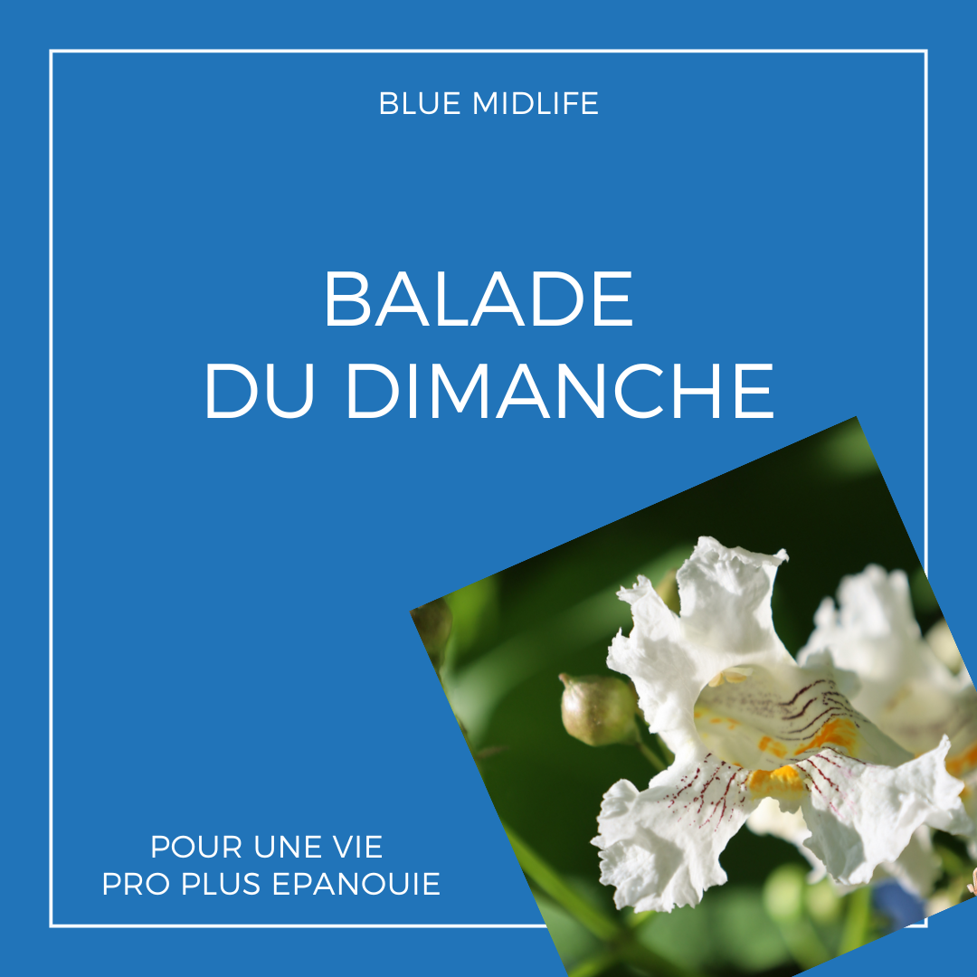Balade du dimanche
