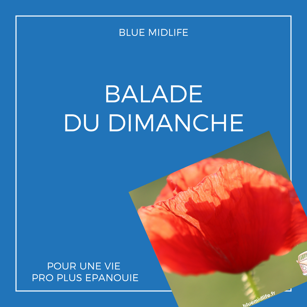 Balade du dimanche