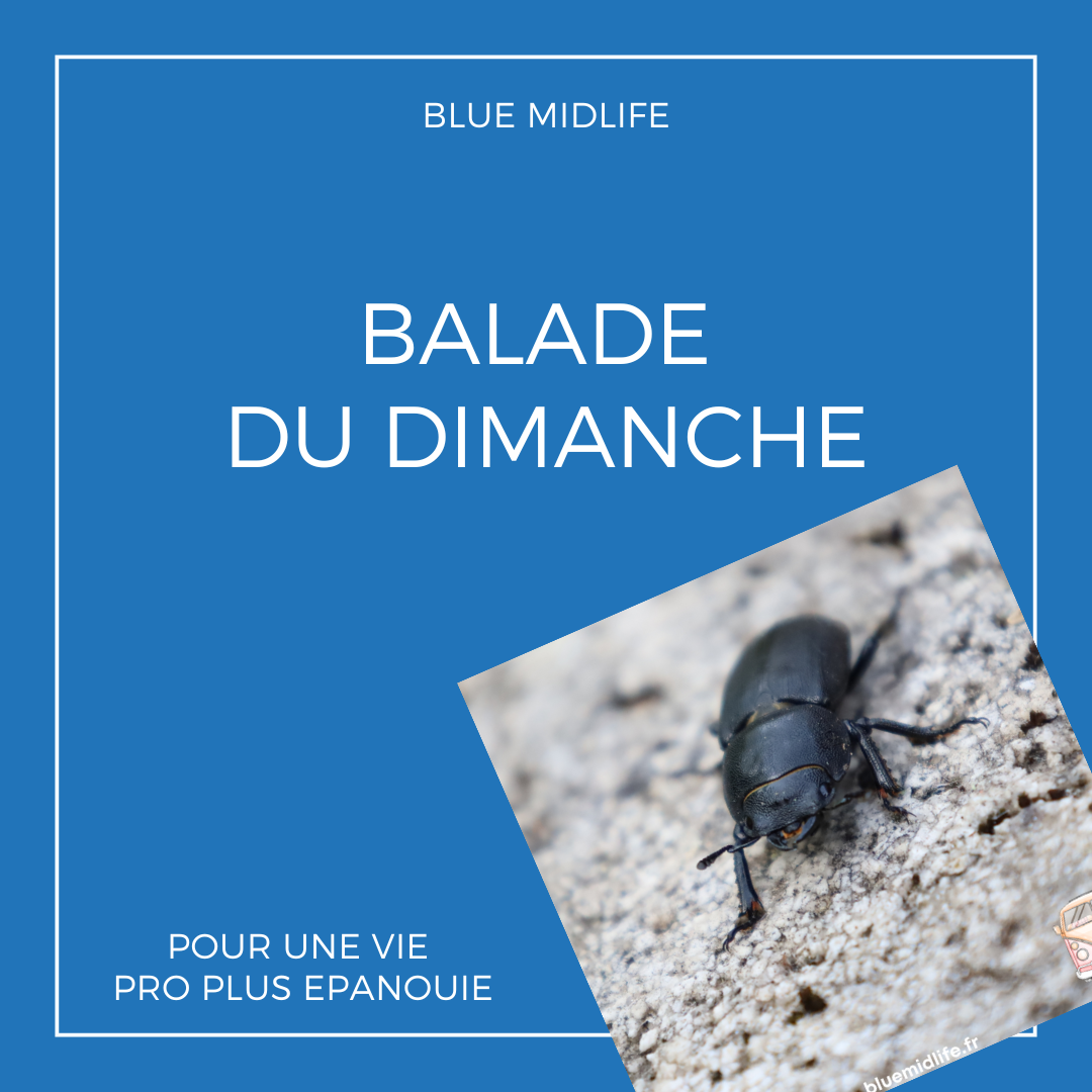 Balade du dimanche