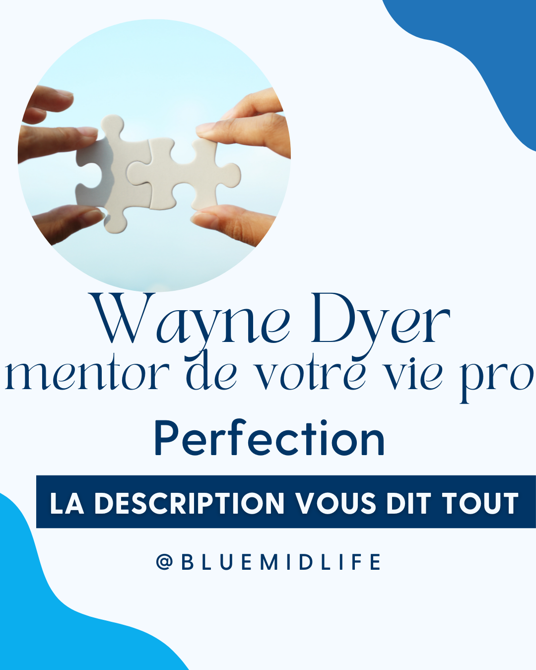 Wayne Dyer mentor de votre vie pro : Perfection