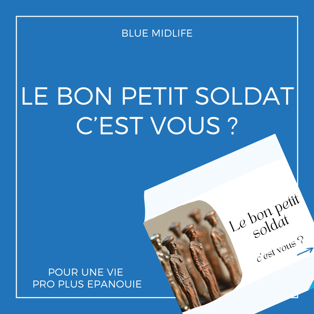 Le bon petit soldat c’est vous ?