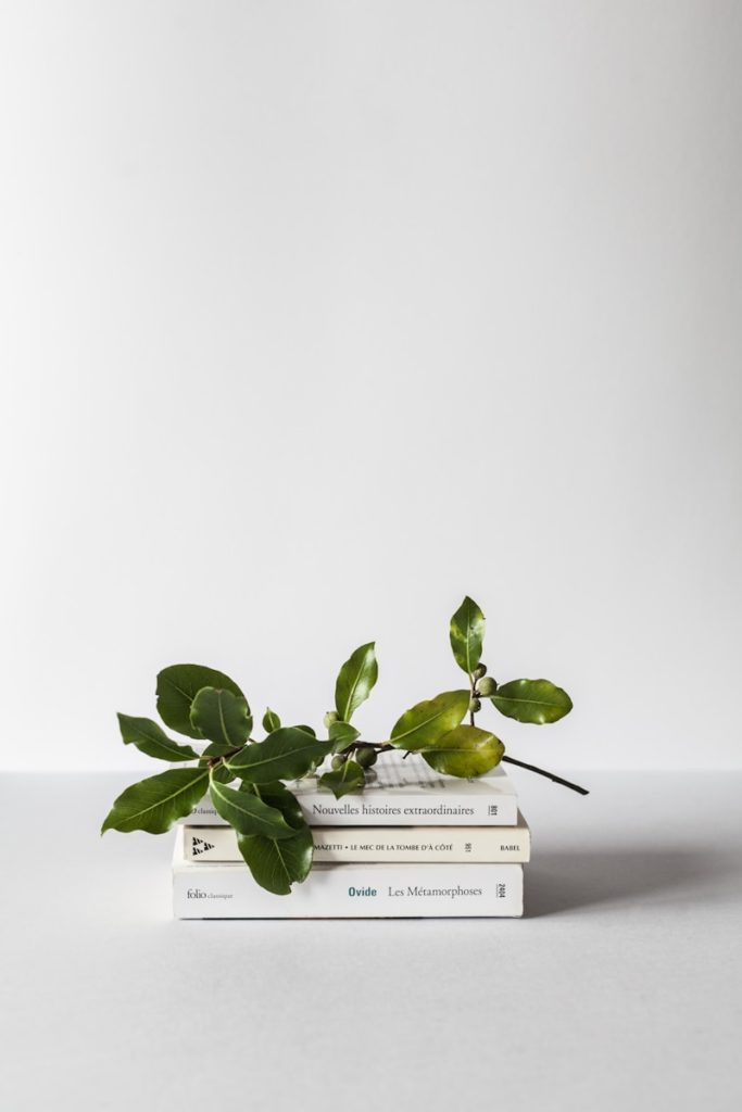 green leafed plant
macbook pro on brown wooden table
Blue Midlife
Catherine BARLOY
Coach en bilan de compétences
Coach professionnel
Nancy Jarny à distance en visio
